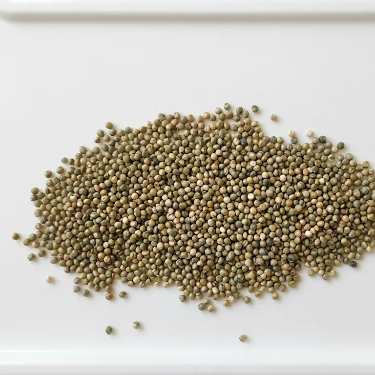 Bajra